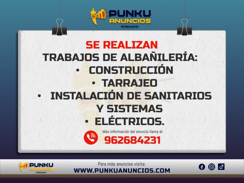 Albañil Profesional